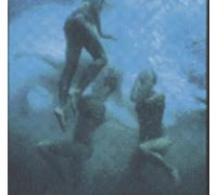 La Naissance Des Pieuvres