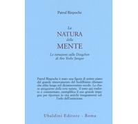 La natura della mente. Le istruzioni sullo Dzogchen di Aro Yeshe Jungne - ...