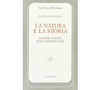 La natura e la storia. Quattro scritti per Giampiero Neri