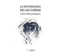La naturaleza de las caídas