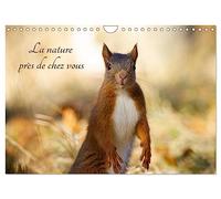 La nature près de chez vous (Calendrier mural 2027 DIN A4 vertical), CALVENDO calendrier mensuel: Les animaux près de chez soi