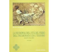 La necropoli dell'età del ferro dell'Incoronata e di S. Teodoro (scavi 1978-1985