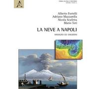 La neve a Napoli. Immagini ed emozioni