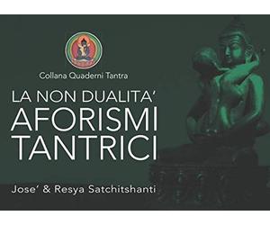 La Non Dualità: Collana Quaderni Tantra