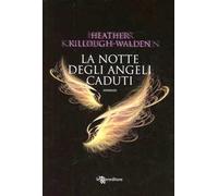 La notte degli angeli caduti