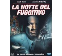 La notte del fuggitivo