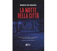 La notte della città. Storie di ordinaria collusione e tre scioglimenti
