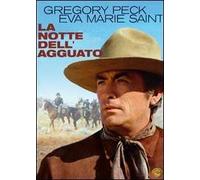 La notte dell'agguato (DVD)
