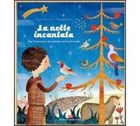La notte incantata. San Francesco e un presepio unico al mondo. Ediz. illustrata