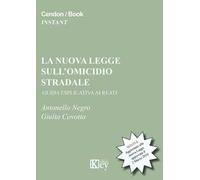 La nuova legge sull'omicidio stradale. Guida esplicativa ai reati
