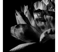 Là Où Passe La Nuit