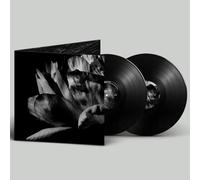 Là Où Passe La Nuit