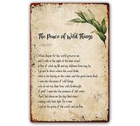 La pace delle cose selvagge, poesia, arte murale, cartello in metallo vintage, poster di poesie per bagno, moderno, decorazione da parete per camera da letto, stampe artistiche estetiche, decorazioni