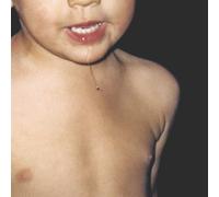 La Paloma Todavia No (CD) Album