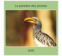 La parade des plumes (Calendrier mural carré 2026 30x30 cm) Calendrier double avec une page pour vos prises de notes: Des photos d'oiseaux remarquables et de toute beauté.