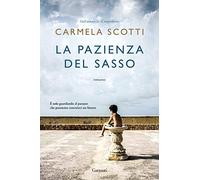 La pazienza del sasso