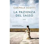 La pazienza del sasso