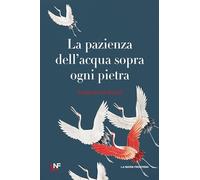 LA PAZIENZA DELL'ACQUA SOPRA OGNI PIETRA - KAMIYA ALEJANDRA - LA NUOVA