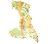 La Pellicola Per Battipenna Per Chitarra Può Coprire Il Pannello Decorativo Originale Per Battipenna Per Chitarra(R)