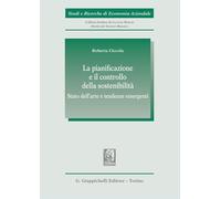 La pianificazione e il controllo della sostenibilità