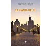 La pianta del te