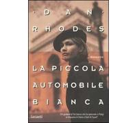 La piccola automobile bianca