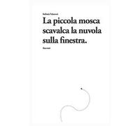 La piccola mosca scavalca la nuvola, sulla finestra