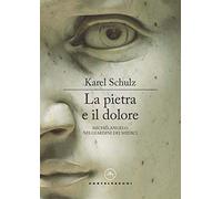 La pietra e il dolore. Michelangelo nei giardini dei Medici