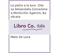 La pietra e la luce. Chiesa Immacolata Concezione a Monticchio Sgarroni, Basilic