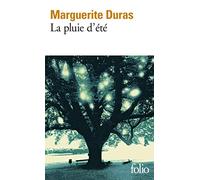 La pluie d'ete