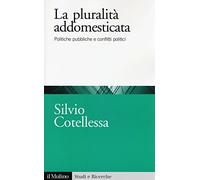 La plurità addomesticata. Politiche pubbliche e conflitti politici