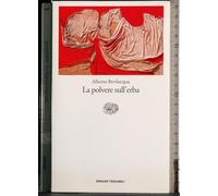 La polvere sull'erba