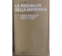 La possibilità della metafisica. Sostanza, identità, tempo