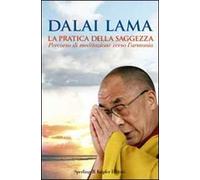 La pratica della saggezza. Percorso di meditazione verso l'armonia