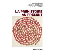 La préhistoire au présent: Mots, images, savoirs, fictions
