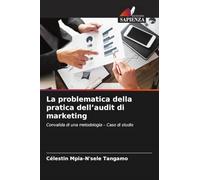 La problematica della pratica dell'audit di marketing: Convalida di una metodologia - Caso di studio