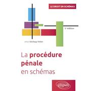 La procédure pénale en schémas