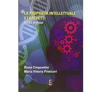La proprietà intellettuale e i brevetti. Guida pratica
