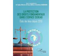 La protection des droits fondamentaux dans l'espace CEDEAO: Etats des lieux depuis 2010