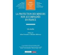 La protection des mineurs non accompagnés en France: 347