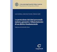 La protezione dei dati personali: natura, garanzie e bilanciamento di un d...