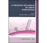 La protezione dell'ambiente nel diritto internazionale