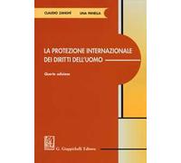 La protezione internazionale dei diritti dell'uomo