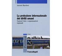 La protezione internazionale dei diritti umani. Nazioni Unite e organizzazioni regionali