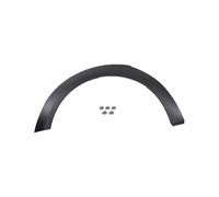 La protezione per il rivestimento dell'arco del sopracciglio della ruota esterna