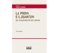 La prova e il quantum nel risarcimento del danno
