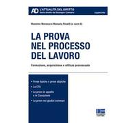 La prova nel processo del lavoro