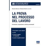 La prova nel processo del lavoro - Formazione, acquisizione e utilizzo processuale