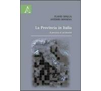 La provincia in Italia. Il percorso di un'identità