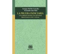 La prueba indiciaria: Una mirada desde los sistemas procesales civil y penal